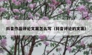 抖音作品评论文案怎么写（抖音评论的文案）
