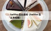 twitter怎么启动（twitter怎么开权限）