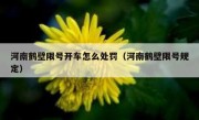河南鹤壁限号开车怎么处罚（河南鹤壁限号规定）
