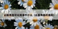 云服务器可以用来干什么（云服务器的用处）