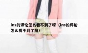 ins的评论怎么看不到了呀（ins的评论怎么看不到了呀）
