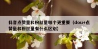 抖音点赞量和粉丝量哪个更重要（dou+点赞量和粉丝量有什么区别）