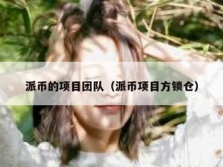 派币的项目团队（派币项目方锁仓）