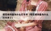 樱花修改器为什么打不开（樱花修改器为什么打不开了）