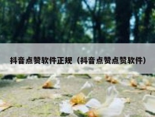 抖音点赞软件正规（抖音点赞点赞软件）