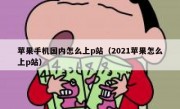 苹果手机国内怎么上p站（2021苹果怎么上p站）