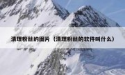 清理粉丝的图片（清理粉丝的软件叫什么）