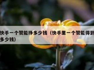 快手一个赞能挣多少钱（快手里一个赞能得到多少钱）