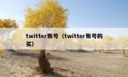 twitter账号（twitter账号购买）