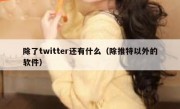 除了twitter还有什么（除推特以外的软件）