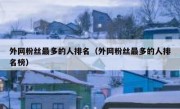 外网粉丝最多的人排名（外网粉丝最多的人排名榜）