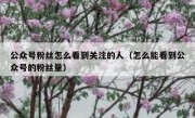 公众号粉丝怎么看到关注的人（怎么能看到公众号的粉丝量）