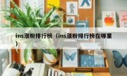 ins涨粉排行榜（ins涨粉排行榜在哪里）