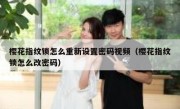 樱花指纹锁怎么重新设置密码视频（樱花指纹锁怎么改密码）