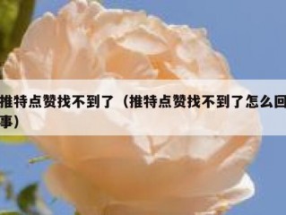 推特点赞找不到了（推特点赞找不到了怎么回事）