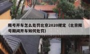 限号开车怎么处罚北京2020规定（北京限号期间开车如何处罚）