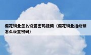 樱花锁业怎么设置密码视频（樱花锁业指纹锁怎么设置密码）