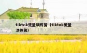 tiktok流量训练营（tiktok流量池等级）