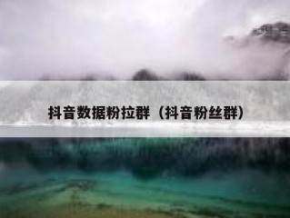 抖音数据粉拉群（抖音粉丝群）