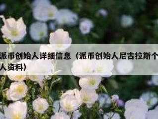 派币创始人详细信息（派币创始人尼古拉斯个人资料）