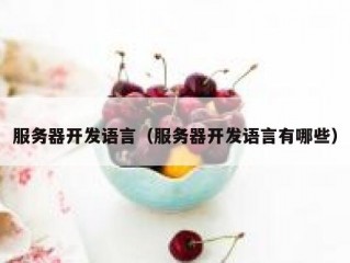 服务器开发语言（服务器开发语言有哪些）