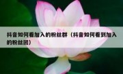 抖音如何看加入的粉丝群（抖音如何看到加入的粉丝团）