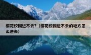 樱花校园进不去?（樱花校园进不去的地方怎么进去）