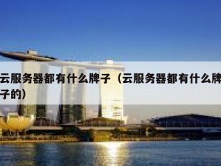 云服务器都有什么牌子（云服务器都有什么牌子的）