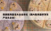 我国服务器龙头企业排名（国内服务器研发生产龙头企业）