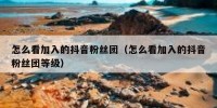 怎么看加入的抖音粉丝团（怎么看加入的抖音粉丝团等级）