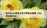 为什么ins评论不见了呢怎么回事（ins评论看不全）