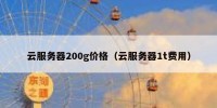 云服务器200g价格（云服务器1t费用）