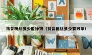 抖音粉丝多少能挣钱（抖音粉丝多少有钱拿）