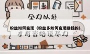 粉丝如何变现（粉丝多如何变现赚钱的）