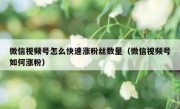 微信视频号怎么快速涨粉丝数量（微信视频号如何涨粉）