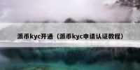派币kyc开通（派币kyc申请认证教程）