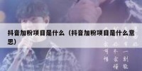 抖音加粉项目是什么（抖音加粉项目是什么意思）