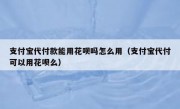 支付宝代付款能用花呗吗怎么用（支付宝代付可以用花呗么）