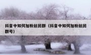 抖音中如何加粉丝团群（抖音中如何加粉丝团群号）