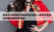 派币怎么审核名字和账号的资料（派币手机验证步骤详细步骤详解）