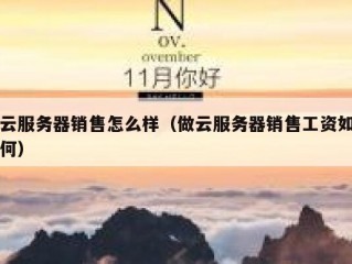 云服务器销售怎么样（做云服务器销售工资如何）