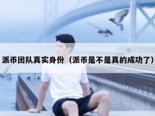 派币团队真实身份（派币是不是真的成功了）