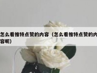 怎么看推特点赞的内容（怎么看推特点赞的内容呢）