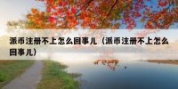 派币注册不上怎么回事儿（派币注册不上怎么回事儿）
