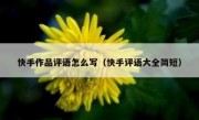 快手作品评语怎么写（快手评语大全简短）