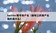 twitter账号用户名（推特上的用户名指的是什么）