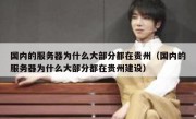 国内的服务器为什么大部分都在贵州（国内的服务器为什么大部分都在贵州建设）