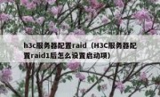 h3c服务器配置raid（H3C服务器配置raid1后怎么设置启动项）