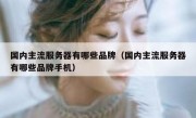 国内主流服务器有哪些品牌（国内主流服务器有哪些品牌手机）