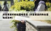 抖音里面的粉丝是啥意思（抖音里面的粉丝是啥意思啊）